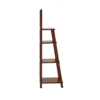 LADDER CUM DISPLAY SHELF