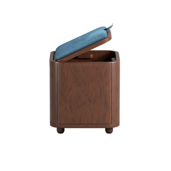 SMART STOOL