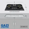 GA-BGS-21