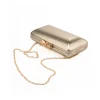 Ladies Clutch-Saira